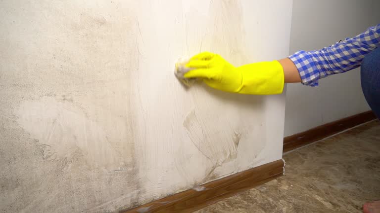 Best Mold-Related Health Consultation  in Bishop, TX