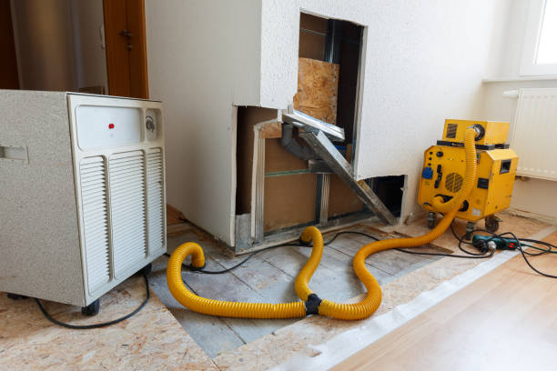 Trusted Bishop, TX Mold Removal Experts