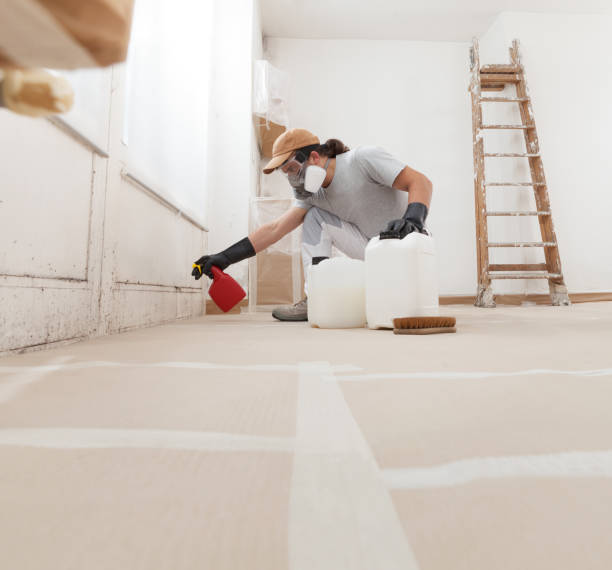 Best Indoor Air Quality Assessment  in Bishop, TX
